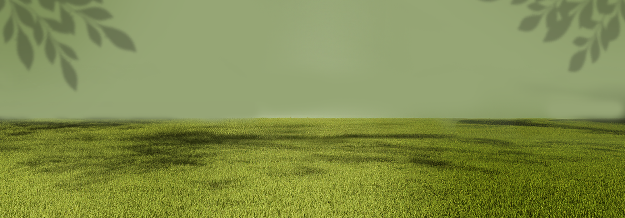 Customer Top Rated Picks