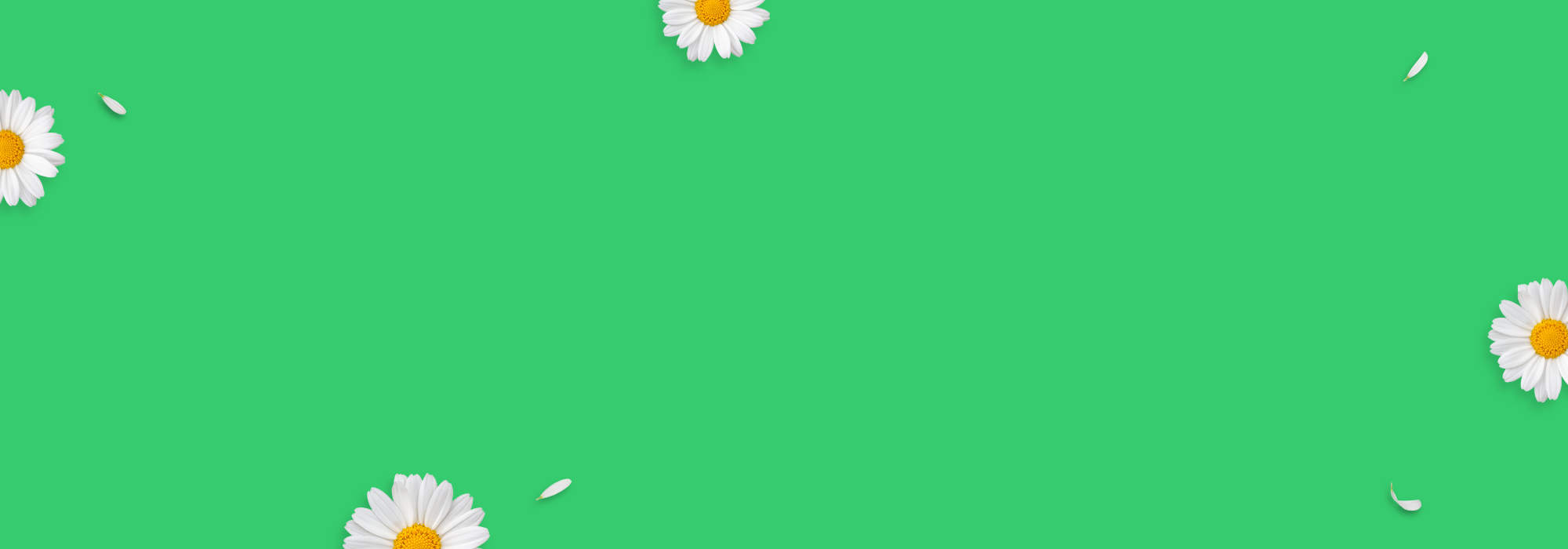 Spring into Your Kitchen 🌼