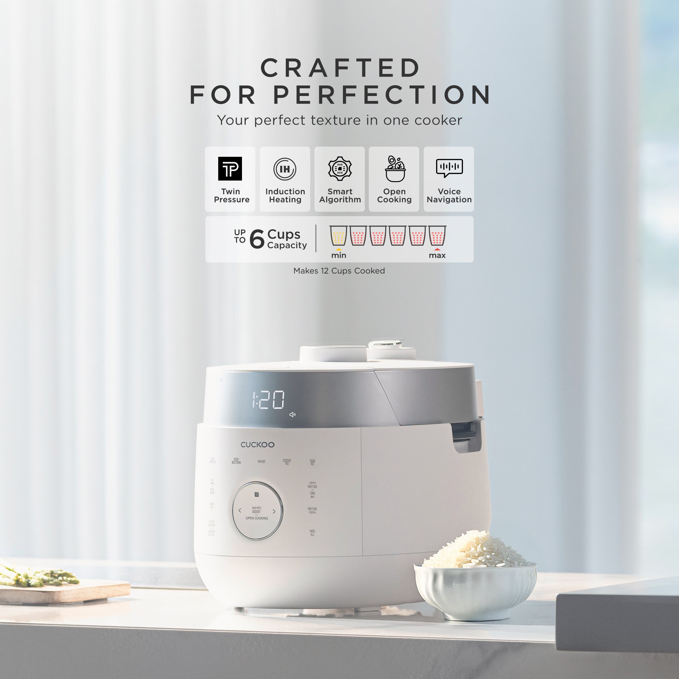 6-Cup IH Twin Pressure Rice Cooker (CRP-LHTR0609F)
